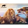 Sestavljanka 3D - Lev 500 kos 61x46cm Animal planet