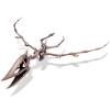 Dinozaver Pteranodon